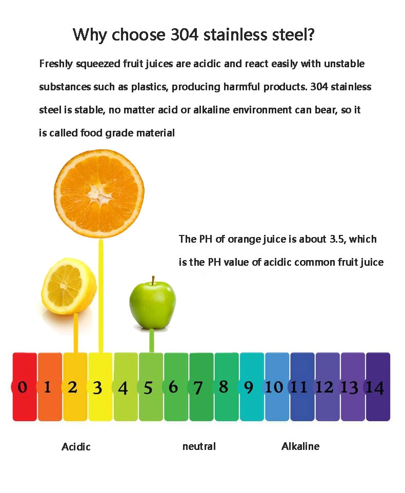 Portable Stainless Steel Fruit Juicer
